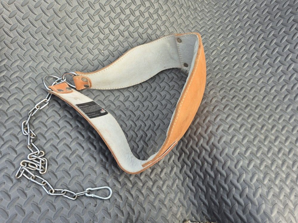 Dip Weights Belt 💪