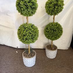 Plant decorations !!