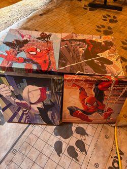 Spider-Man pictures