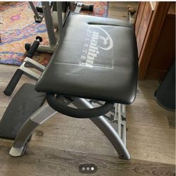 Palates Bench