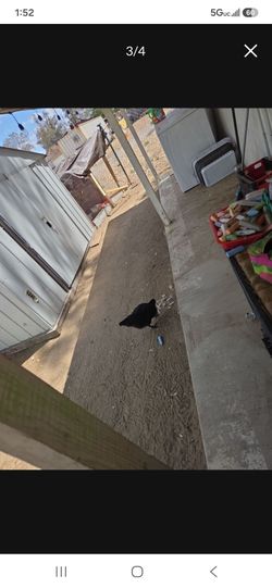 Outside toys