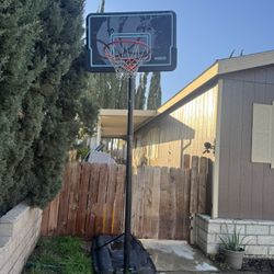 Basketball Court
