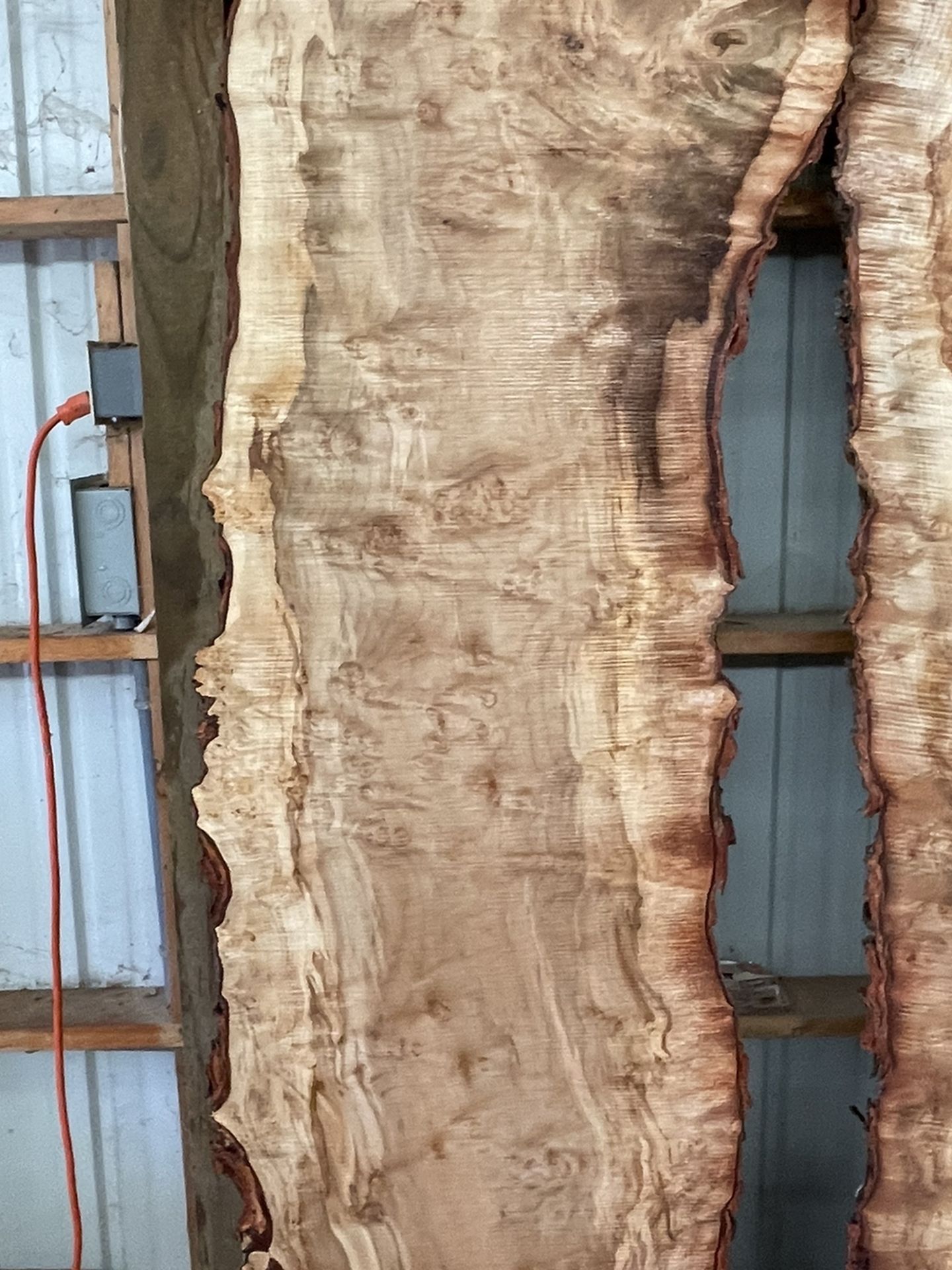 Awesome Silver Maple Slabs