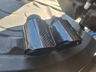 Black Tips