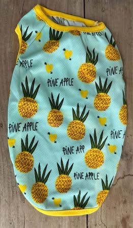 Dog Costume Fits M Pineapple just $5 xox