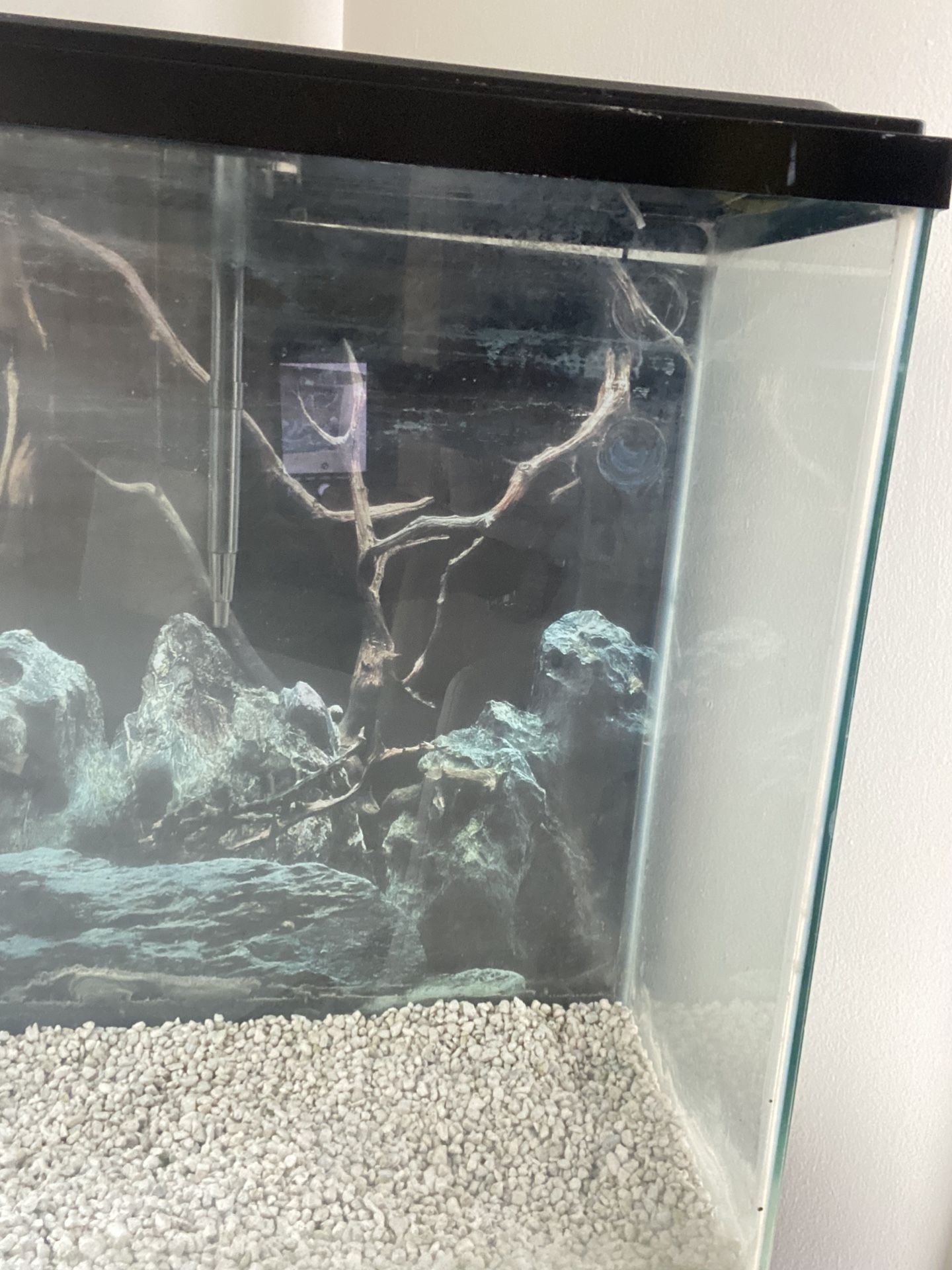 square fish tank