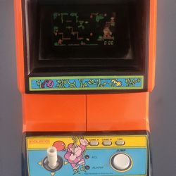 Donkey Kong JR arcade System