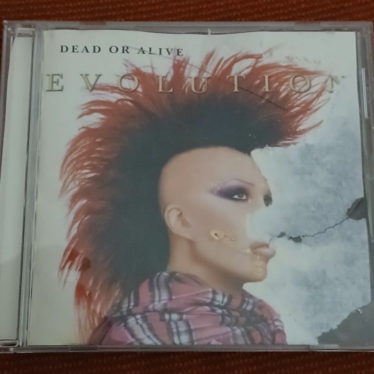 Dead or Alive : Evolution CD (2003)