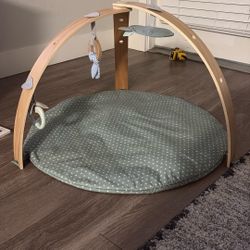 Baby Playmat