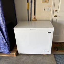 Garage Freezer