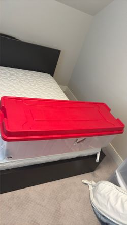 Clear Base with Red Lid Tree Box