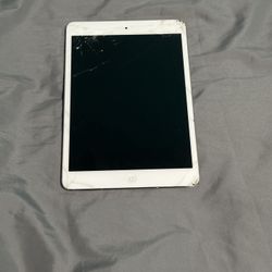 iPad Mini 2 