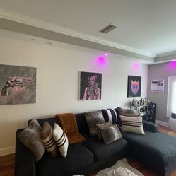 Large Sectional Couch