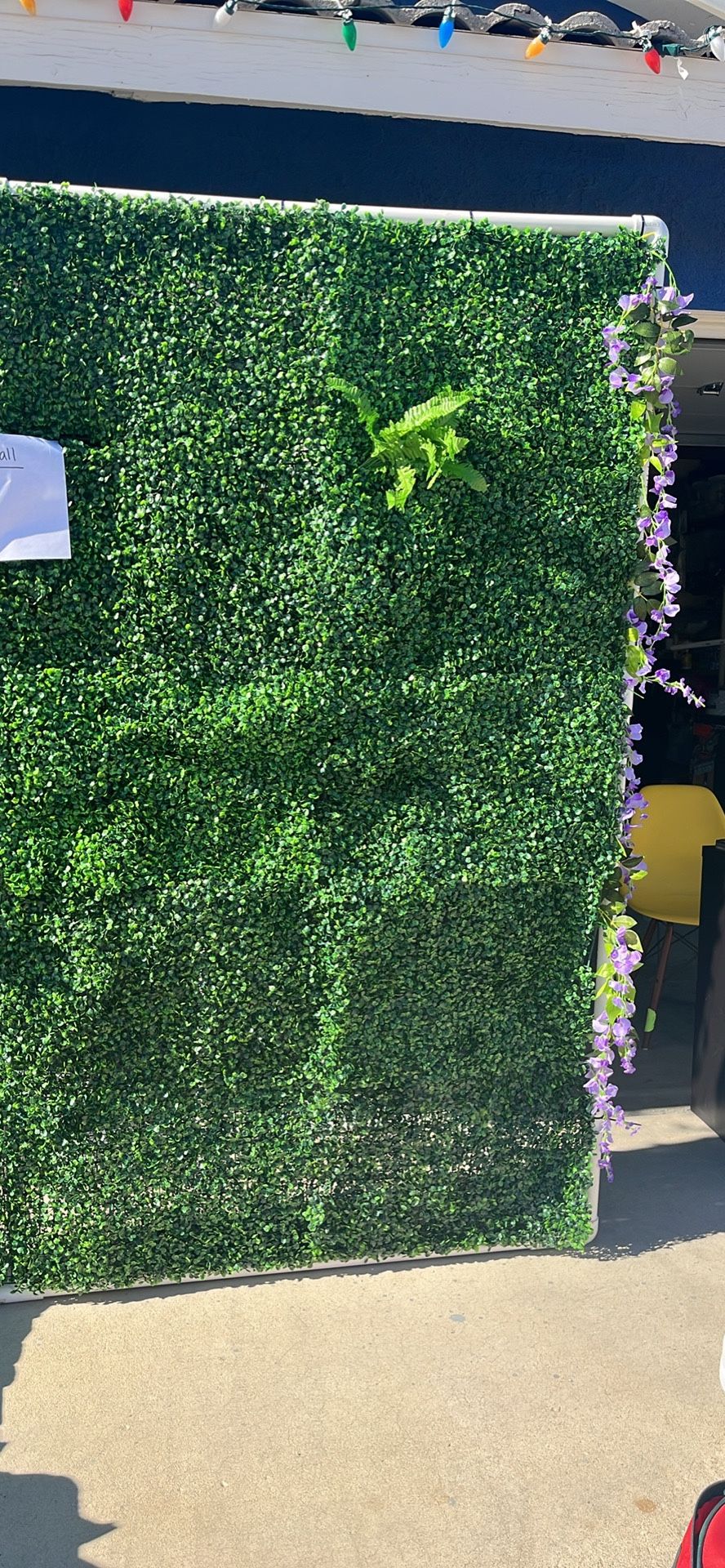 Grass Wall For Events