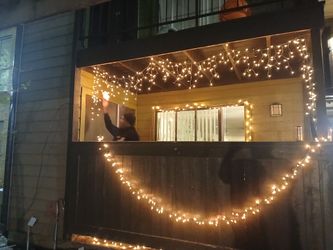 Need Holiday Lights HUNG??