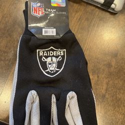 Raider Gloves $5