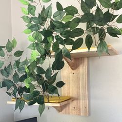 Cat Wall Shelf