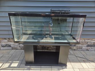 75 gallon fish tank and stand