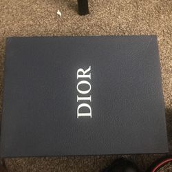 DIOR B22 