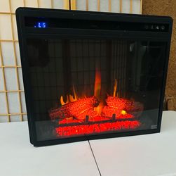 Electric Fire Place ! 🔥