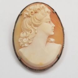 Large Cameo Shell Pin/Pendant 