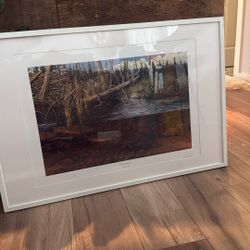 Fred W. Thomas  Brook Trout Large Framed Print