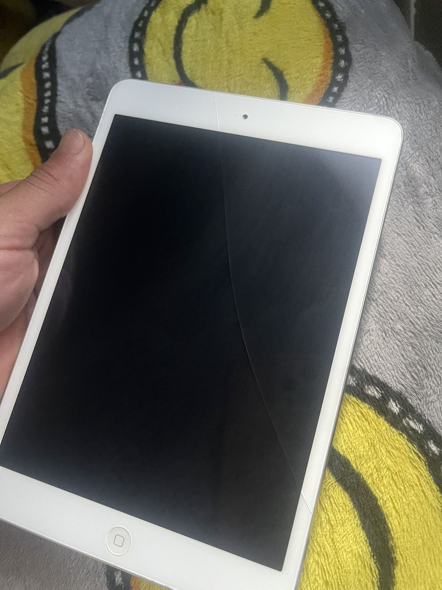 iPad 2 Mini