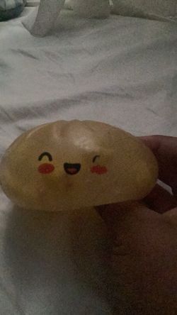 duck dumpling squishy edition rare