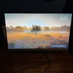 HP 24f 23.8” IPS LED FHD FreeSync Monitor (HDMI, VGA) - Natural Silver