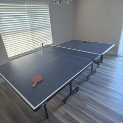 Ping Pong Table