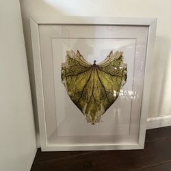Ballerina Leaf Artwork