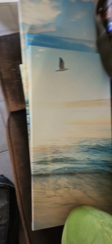 4 Picture Beach Sceen