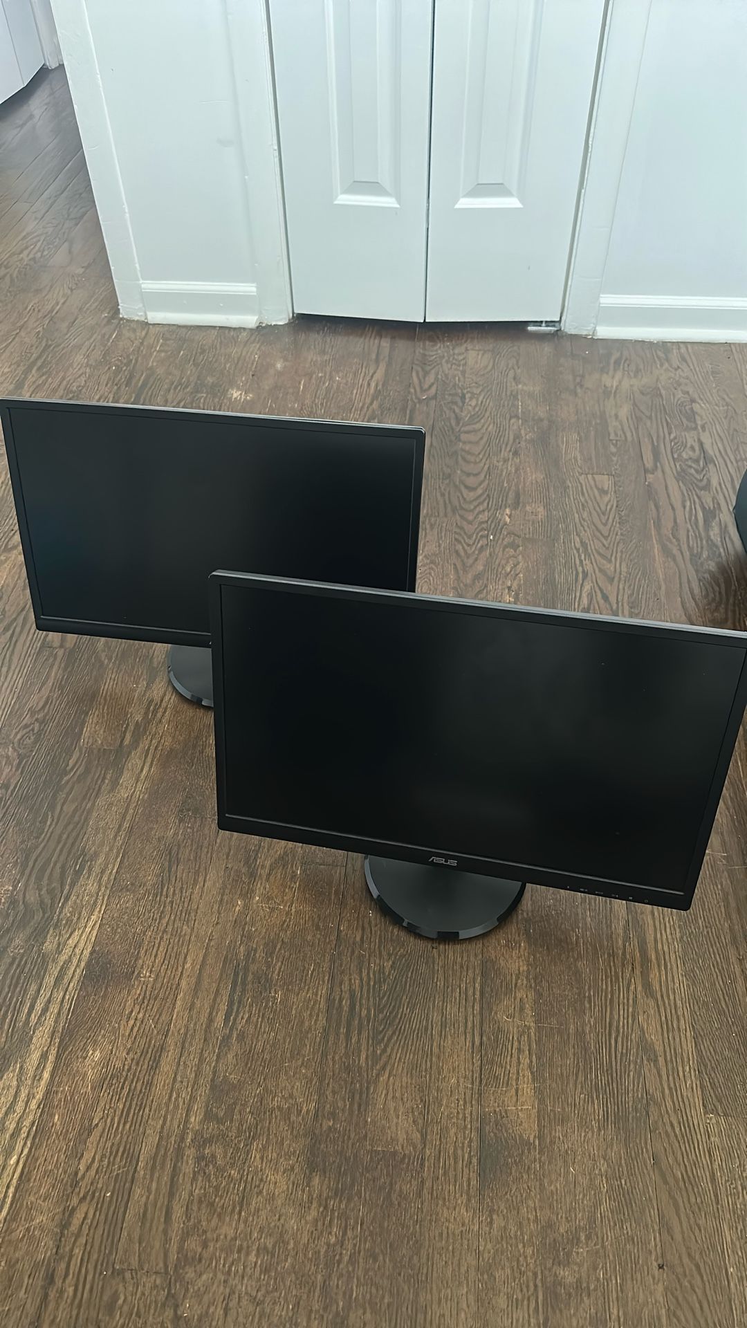 Asus Monitors