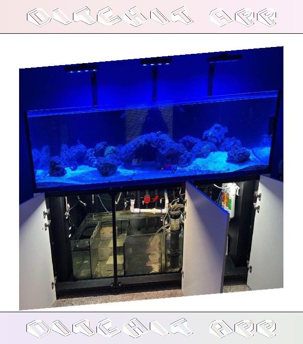 Full Aquarium Tank - Spacious & Eye-Catching word and