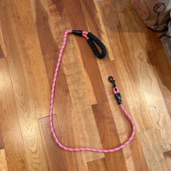 Dog Leash non-tug