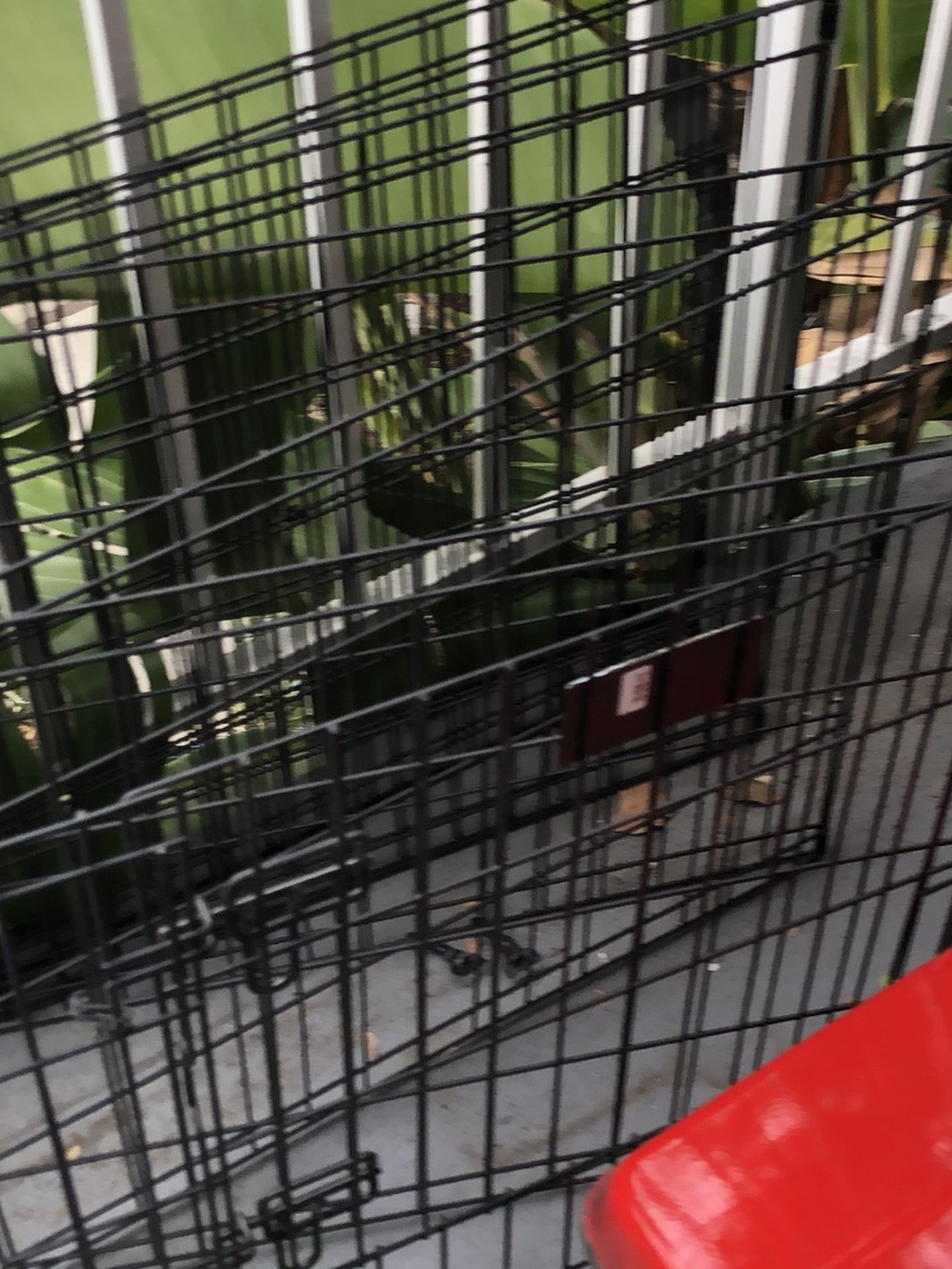 Dog kennel opens up large or small has a gate in good condition cheap