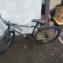 Northridge Dynacraft Bike