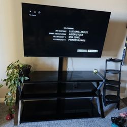 TV Stand/ Media Center
