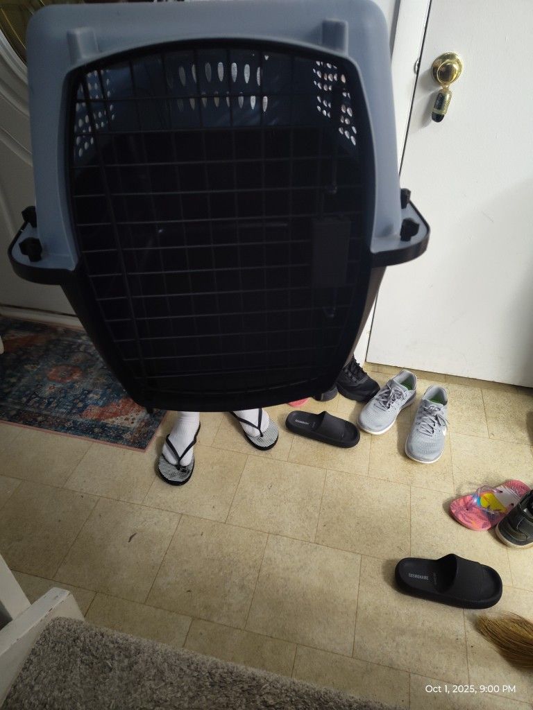 Medium Sized Pet Carrier