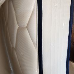 Twin set  Mattress $100 for both