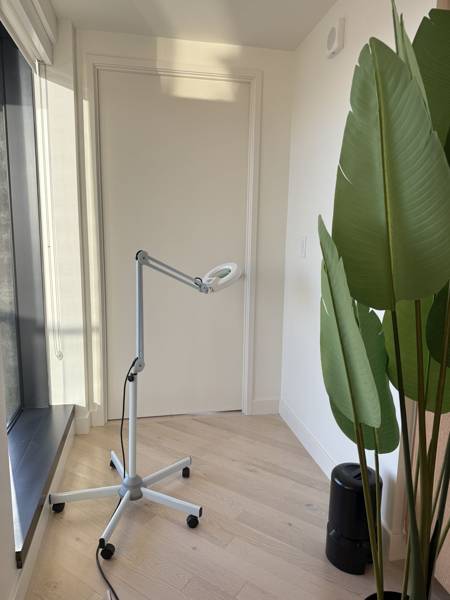 Cosmetology Lamp Magnifying Glass