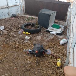 Yard Clean Up Dump Runs Scrap Pick Up