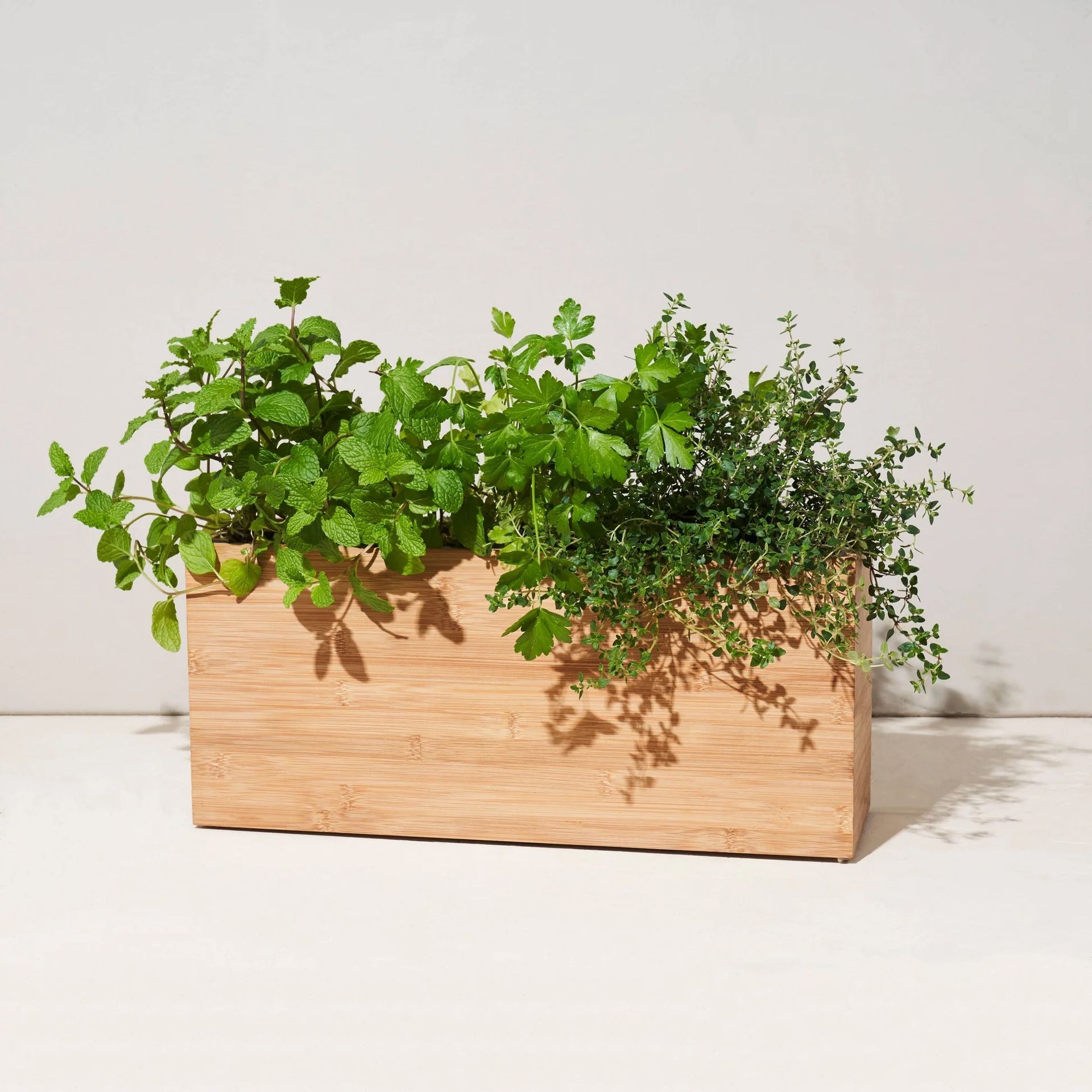 Hydro Planter Box
