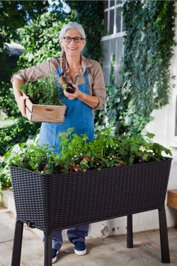 New Raise Bed Gardening 