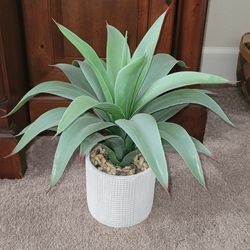 Artificial  Plant in gravel Pot