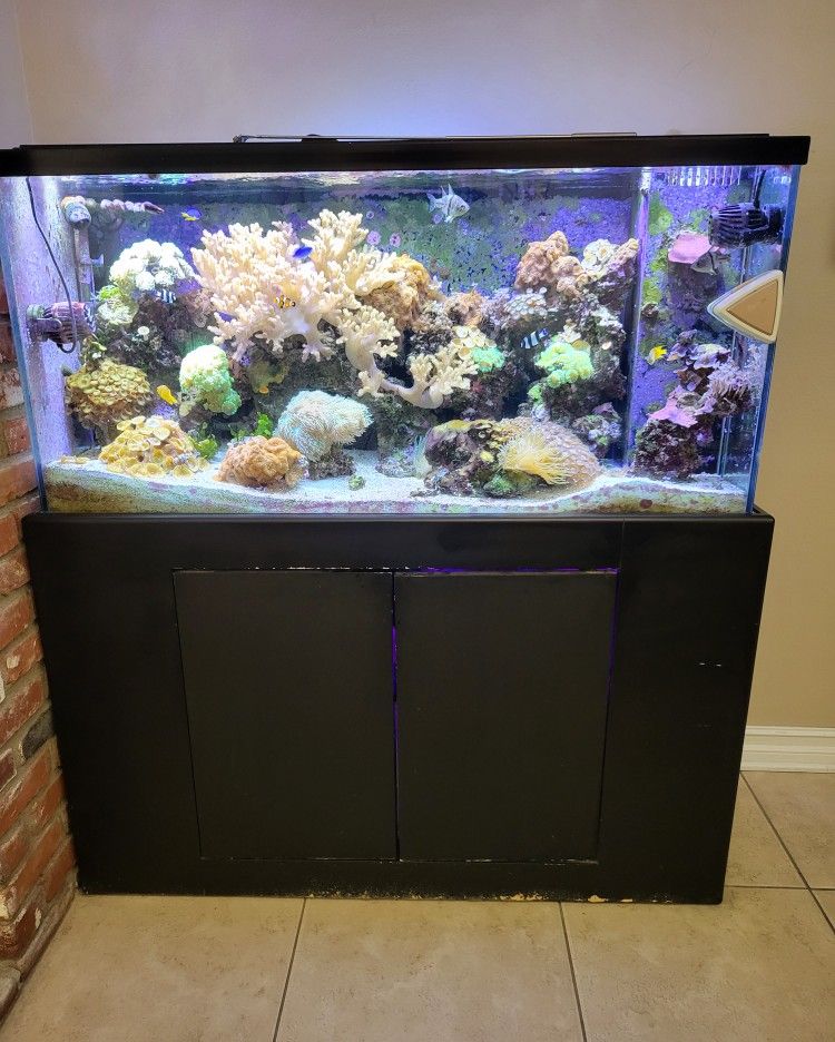 Salt Water Aquarium 120 G Please Don't ask Separately Part Or Corals.