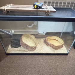 40 gallon fish tank