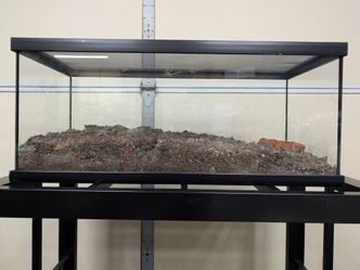 20 Gallon Reptile Tank w/ Screen Lid