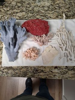 Salt Water Coral $75