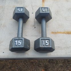 2 15lbs Dumbells $ 20 For Both